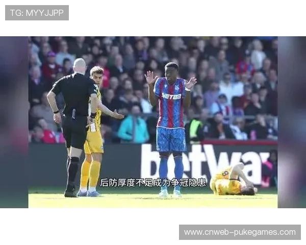 曼城加速引进水晶宫中卫格伊，冬窗报价3000万镑